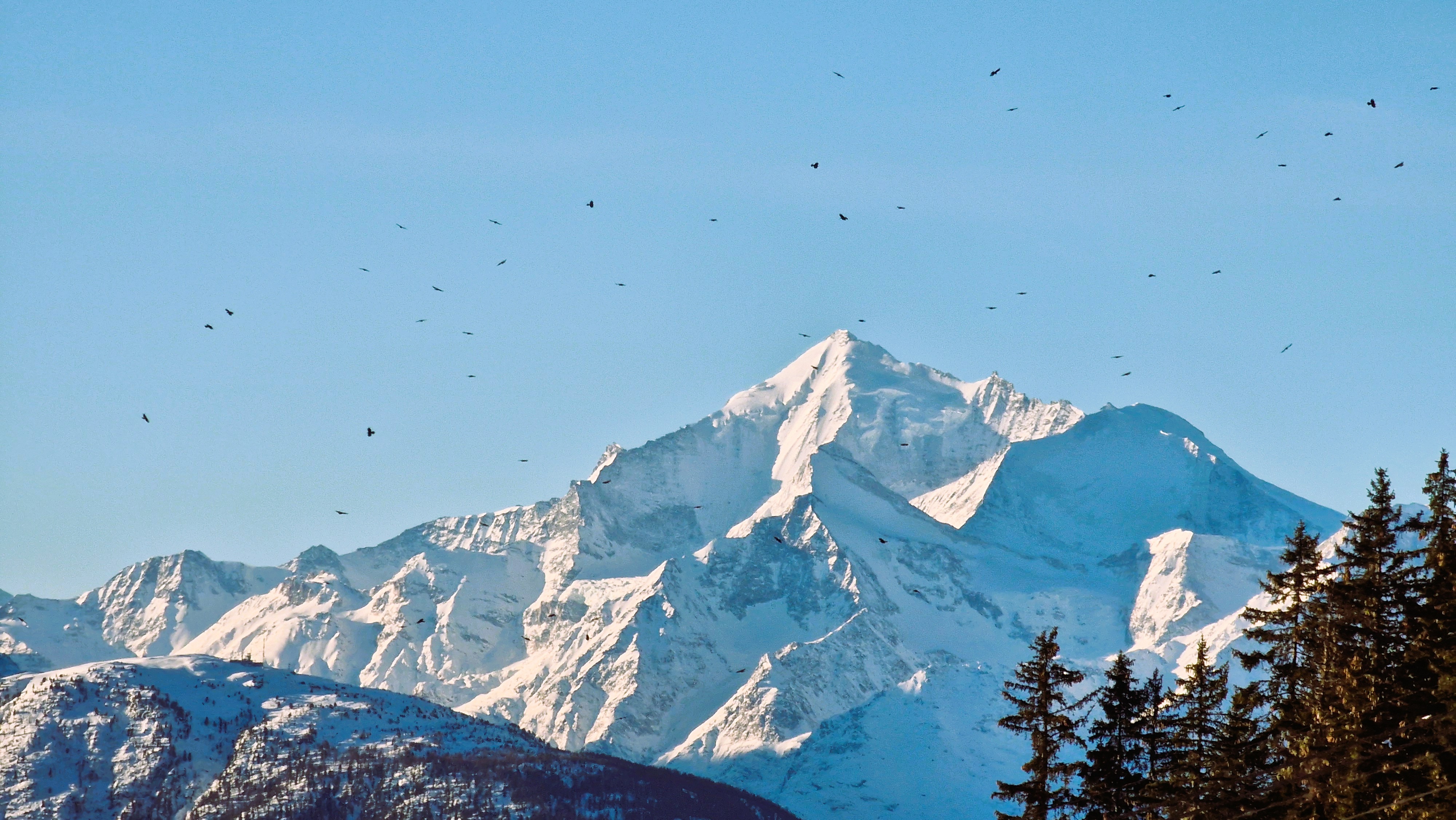 Ski touring landscape
