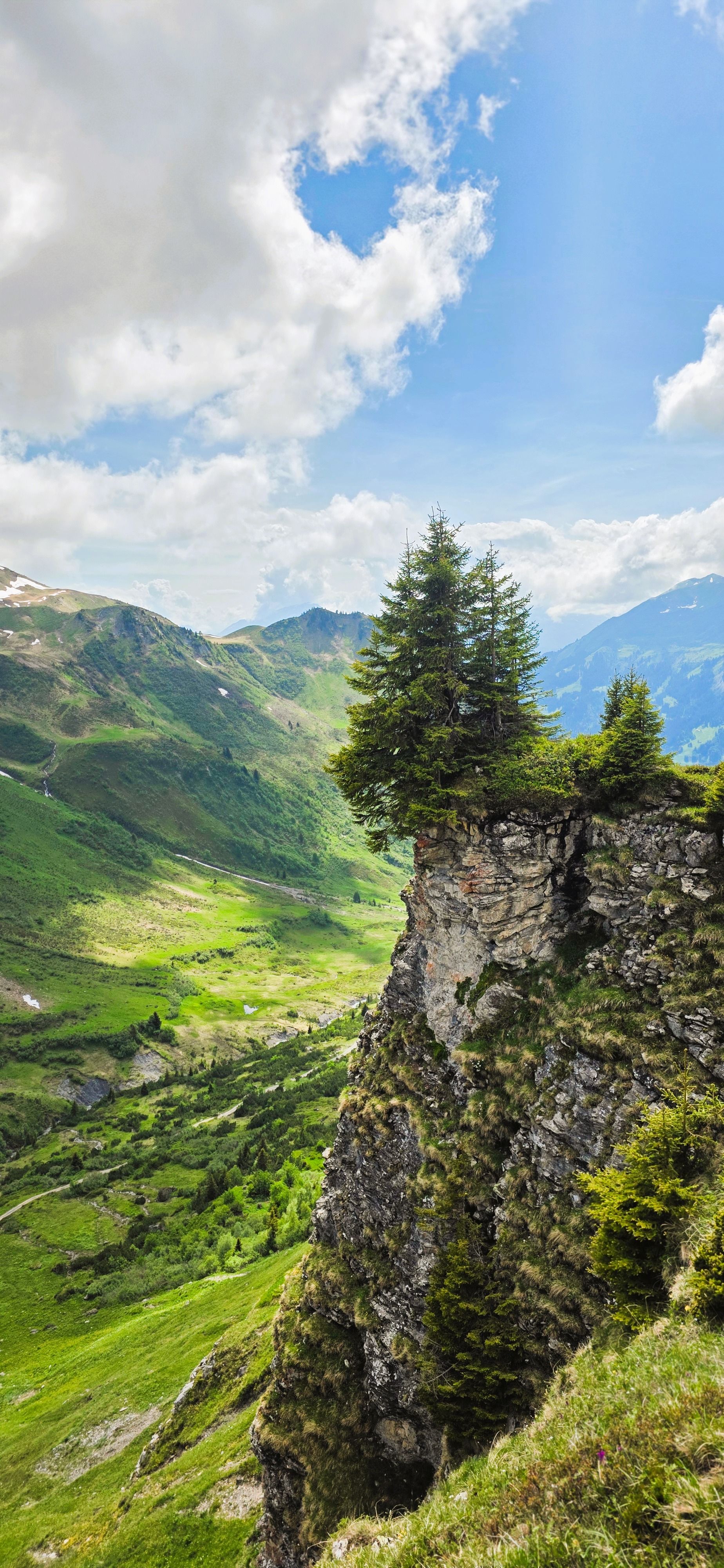 Alpine landscape